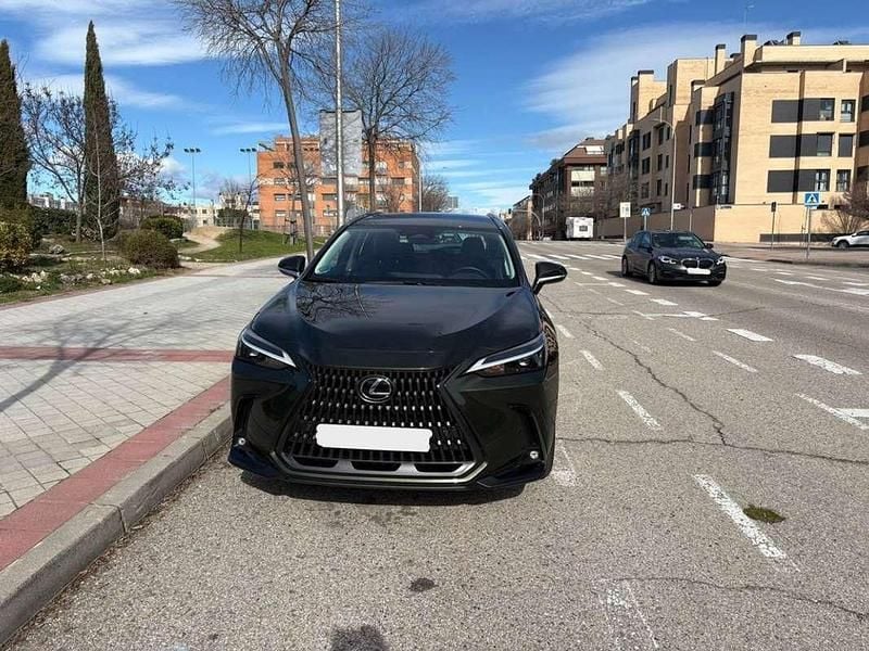 Usado Lexus NX350h 242 CV (177 kW) 2024 Verde SUV
