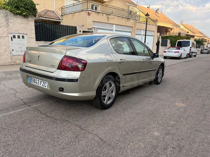 Usado Peugeot 407 Premium 136 CV (100 kW) 2007 Beige Berlina