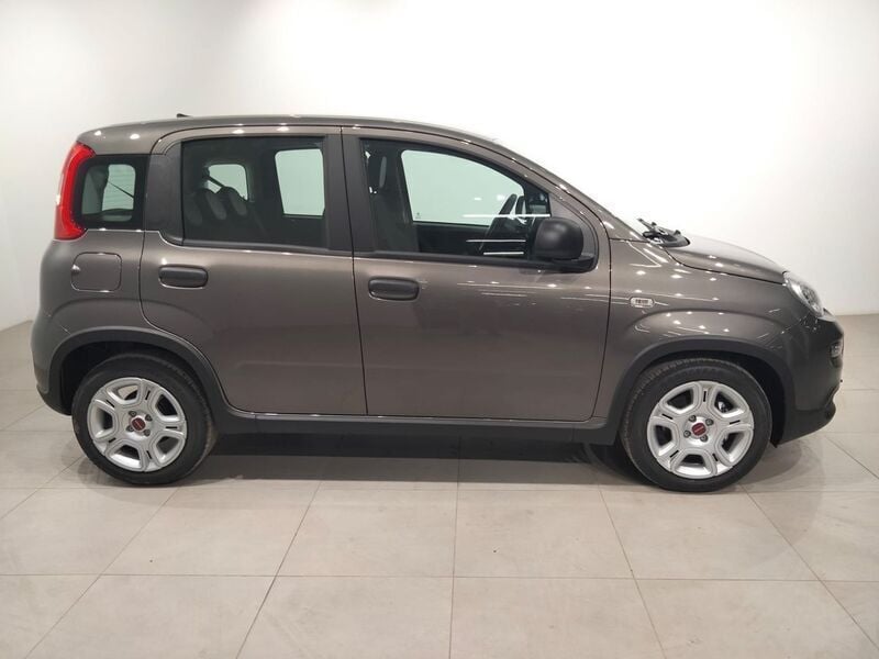 Usado Fiat Panda 70 CV (51 kW) 2024 Gris Utilitario