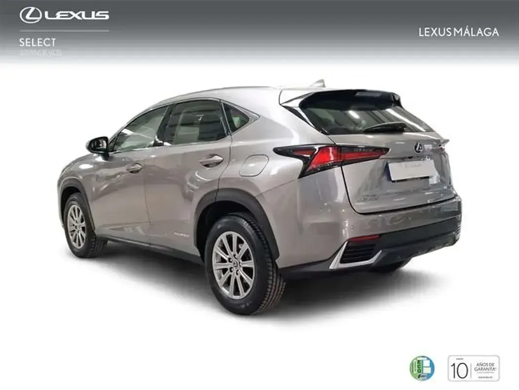 Usado Lexus NX300h Business Edition 197 CV (144 kW) 2021 Gris SUV