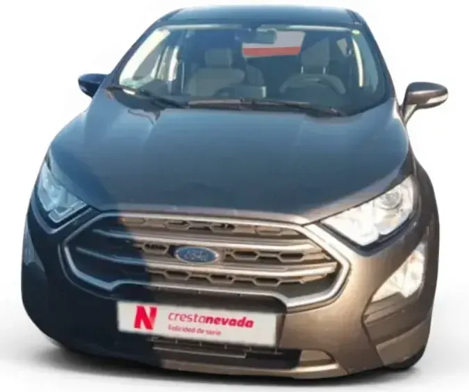 Usado Ford Ecosport Trend 125 CV (91 kW) 2019 Gris SUV