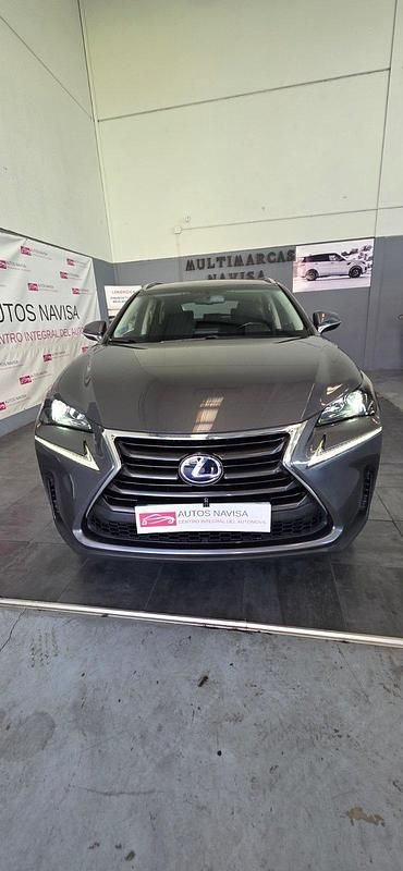 Usado Lexus NX300h 197 CV (144 kW) 2017 Champang SUV