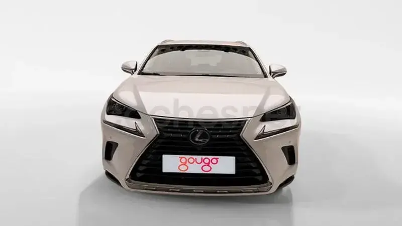 Usado Lexus NX300h Business Edition 197 CV (144 kW) 2019 Blanco SUV