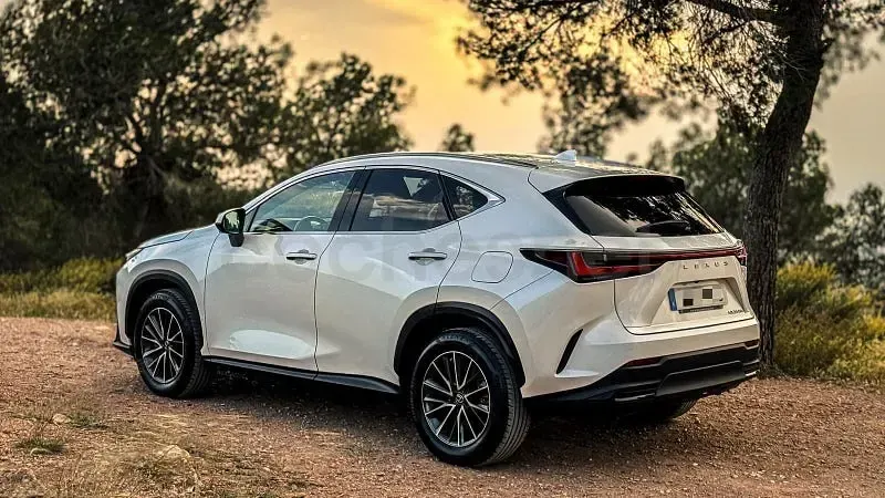 Usado Lexus NX350h Executive Line 242 CV (177 kW) 2022 Blanco SUV