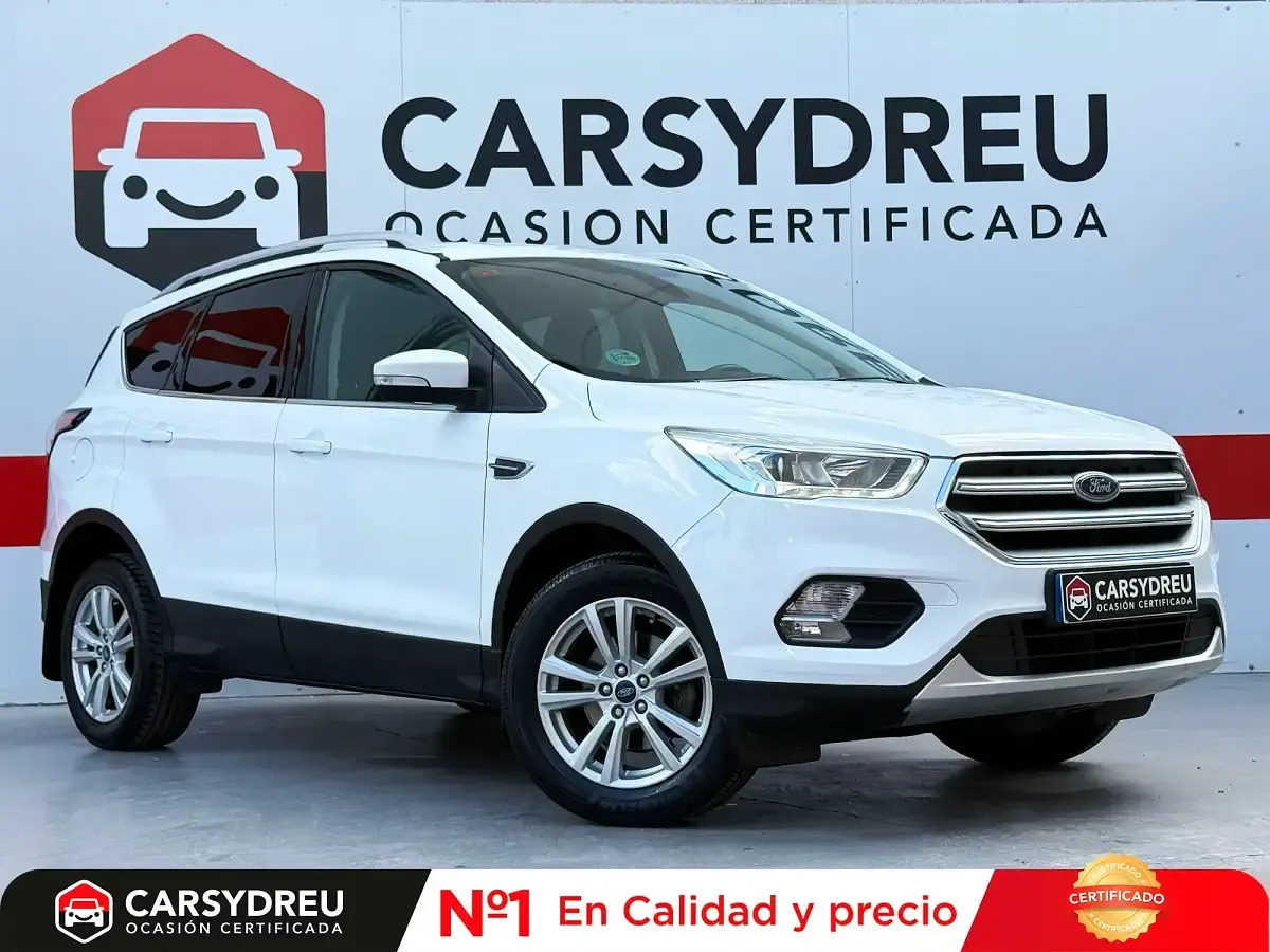 Usado Ford Kuga Trend 150 CV (110 kW) 2019 Blanco SUV