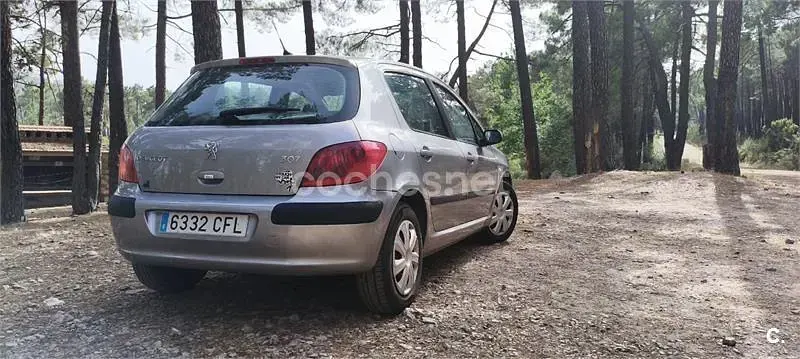 Usado Peugeot 307 110 CV (80 kW) 2003 Gris / plata Berlina