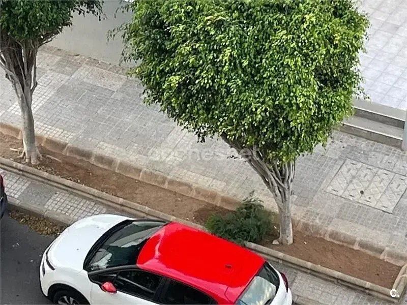 Usado Citroën C3 Feel 83 CV (61 kW) 2022 Blanco Utilitario