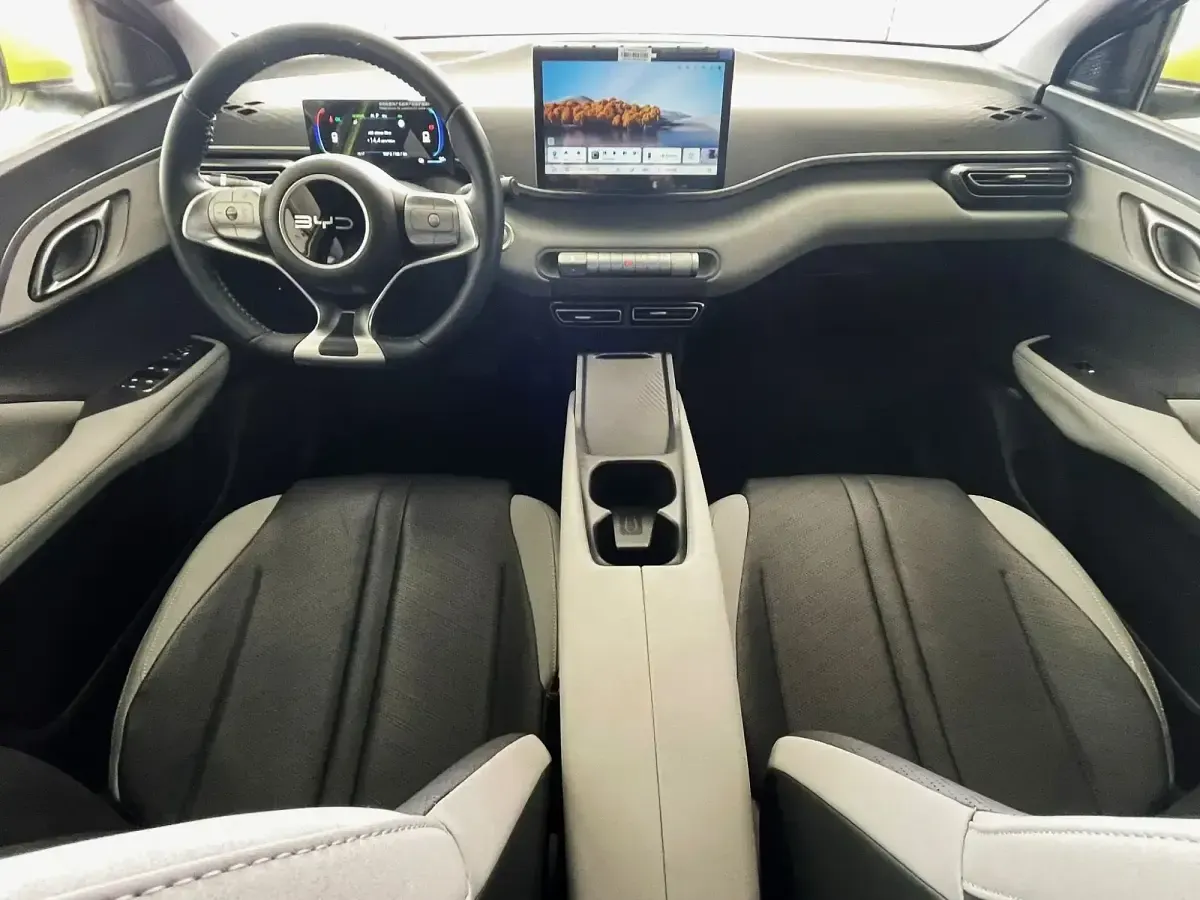 Nuevo BYD Dolphin Surf Boost 64 kW (88 CV) 2026 Eléctrico Utilitario
