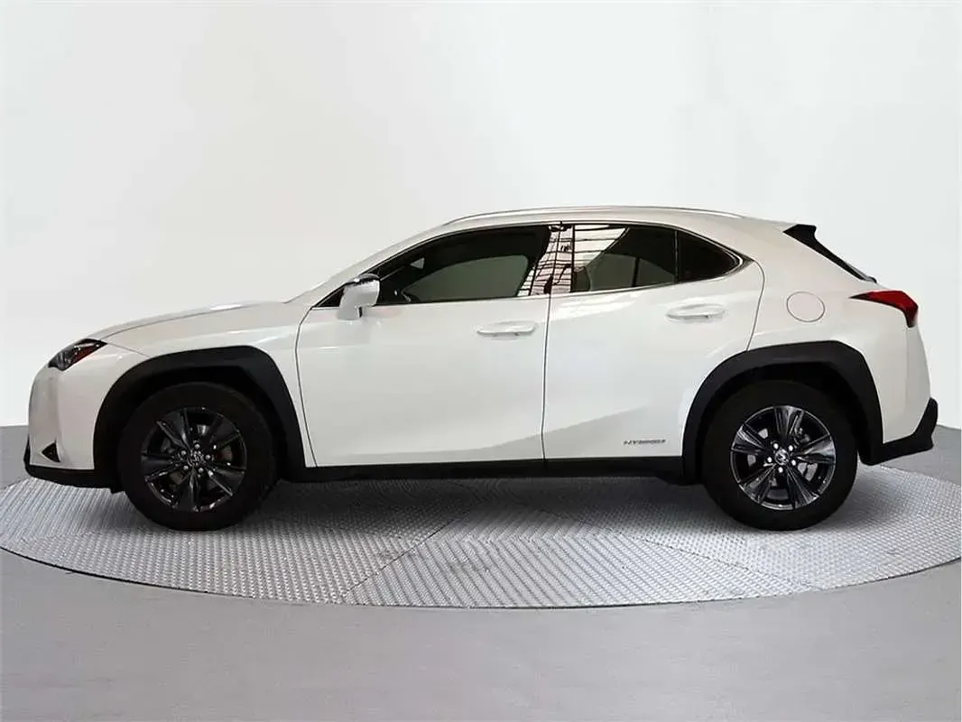 Usado Lexus UX 250h Business Edition 184 CV (135 kW) 2019 SUV