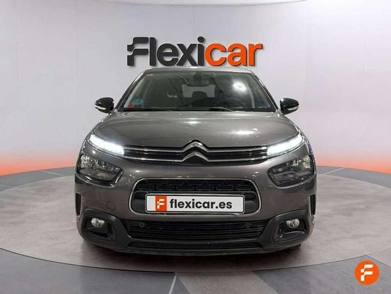 Brugt Citroën C4 Cactus Feel 110 HK (80 kW) 2018 Grå Hatchback