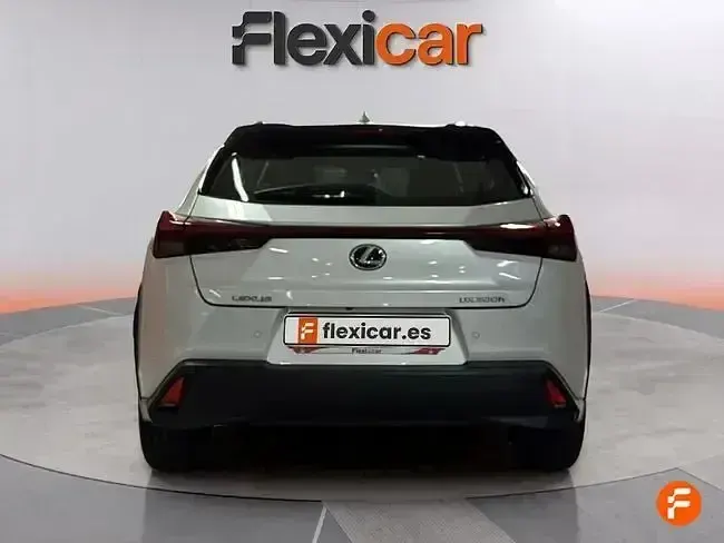 Usado Lexus UX Sport Line 199 CV (146 kW) 2024 Blanco SUV