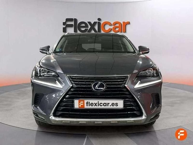 Usado Lexus NX300h Business Edition 197 CV (144 kW) 2019 Gris SUV