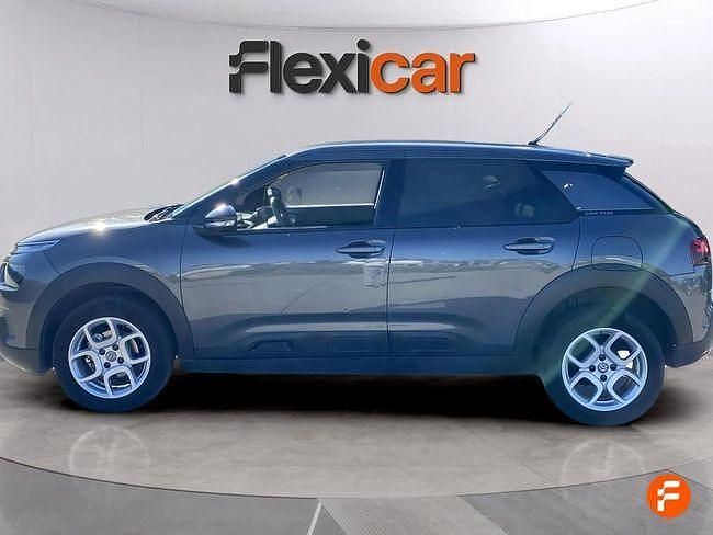 Usado Citroën C4 Cactus Shine 102 CV (75 kW) 2019 Gris Utilitario