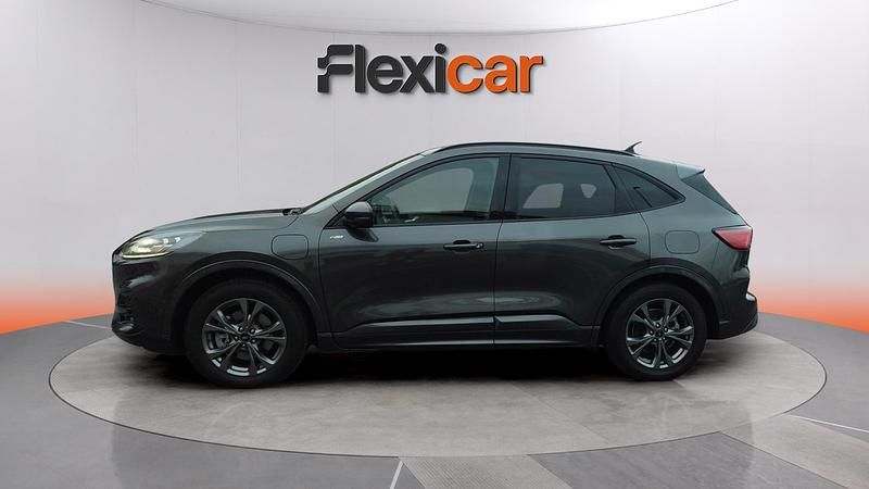 Usado Ford Kuga ST-Line 225 CV (165 kW) 2020 Gris SUV