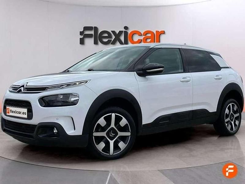 Usado Citroën C4 Cactus Shine 99 CV (72 kW) 2019 Blanco Utilitario