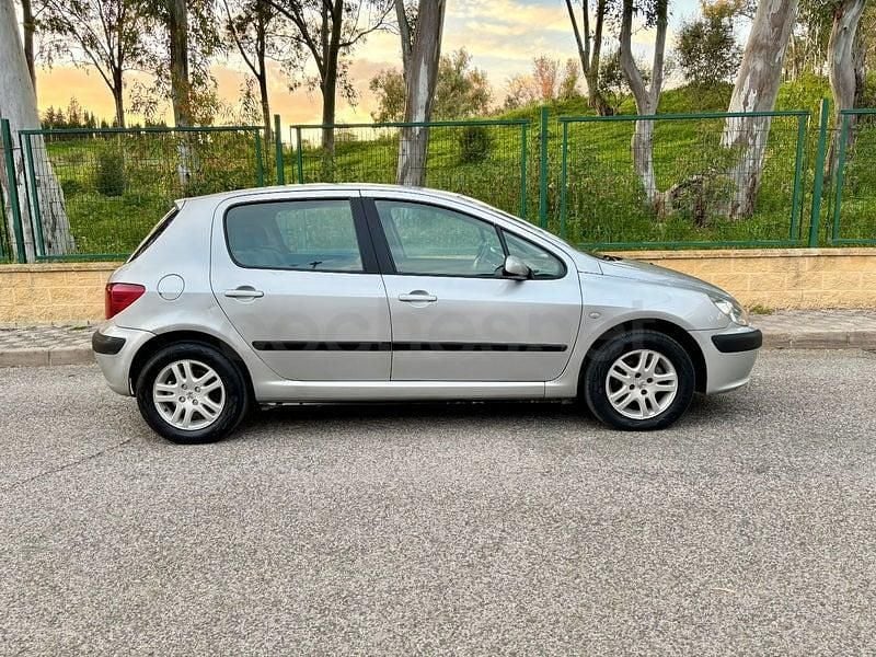 Usado Peugeot 307 110 CV (80 kW) 2004 Gris / plata Berlina
