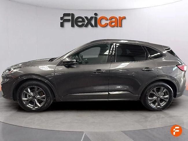 Usado Ford Kuga ST-Line 120 CV (88 kW) 2024 Gris SUV