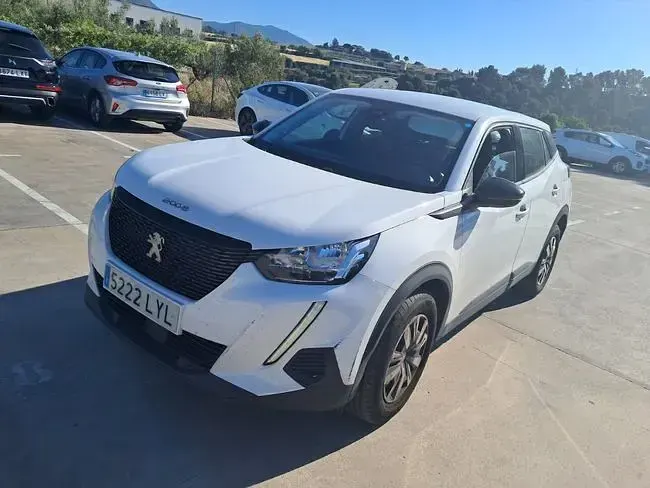 Usado Peugeot 2008 Active 110 CV (80 kW) 2022 Blanco SUV