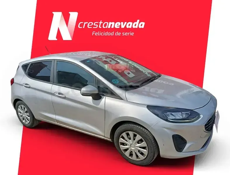 Usado Ford Fiesta Trend 75 CV (55 kW) 2022 Gris / plata Utilitario