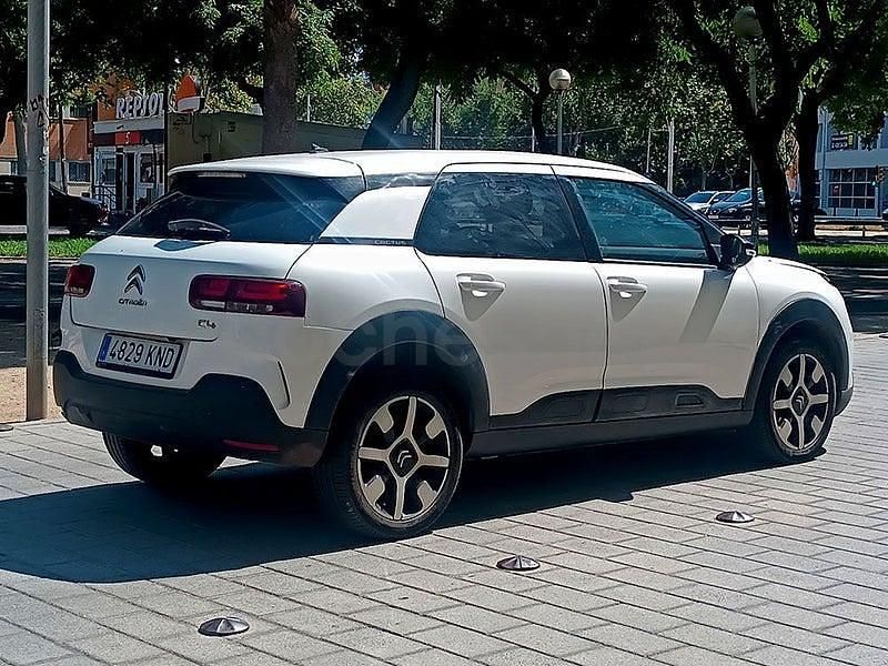 Usado Citroën C4 Cactus Business Class 102 CV (75 kW) 2019 Blanco Utilitario