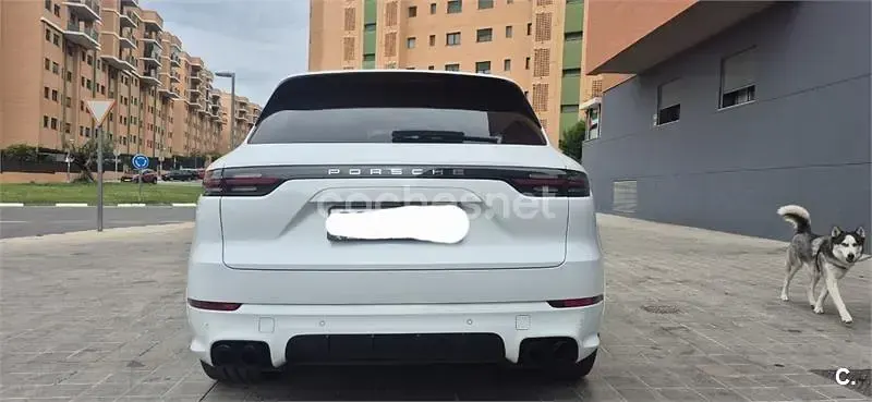 Usado Porsche Cayenne 340 CV (250 kW) 2019 Blanco SUV