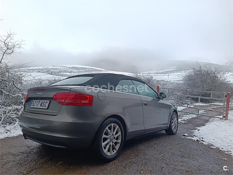 Usado Audi A3 Cabriolet Ambition 105 CV (77 kW) 2011 Beige Descapotable