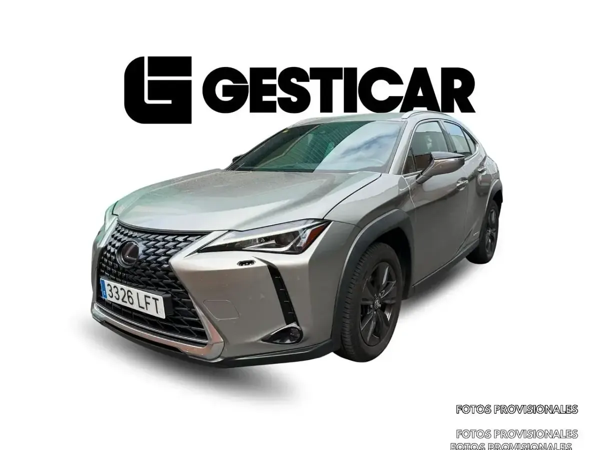 Usado Lexus UX 250h 152 CV (111 kW) 2020 Gris SUV