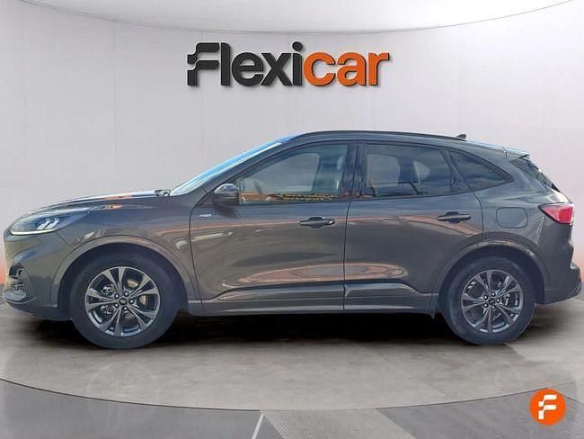 Usado Ford Kuga ST-Line 120 CV (88 kW) 2024 Gris / plata SUV