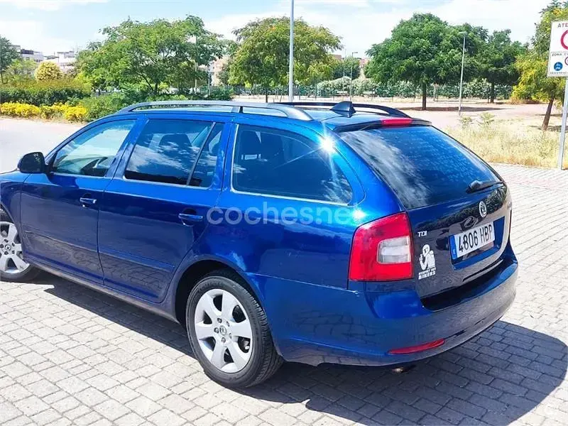 Usado Skoda Octavia Family 105 CV (77 kW) 2011 Azul Familiar