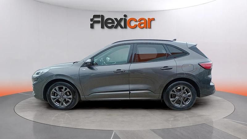 Usado Ford Kuga ST-Line 120 CV (88 kW) 2024 Gris SUV