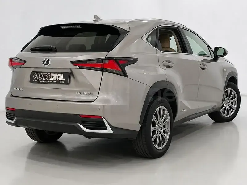 Usado Lexus NX300h Executive Line 197 CV (144 kW) 2019 Beige SUV