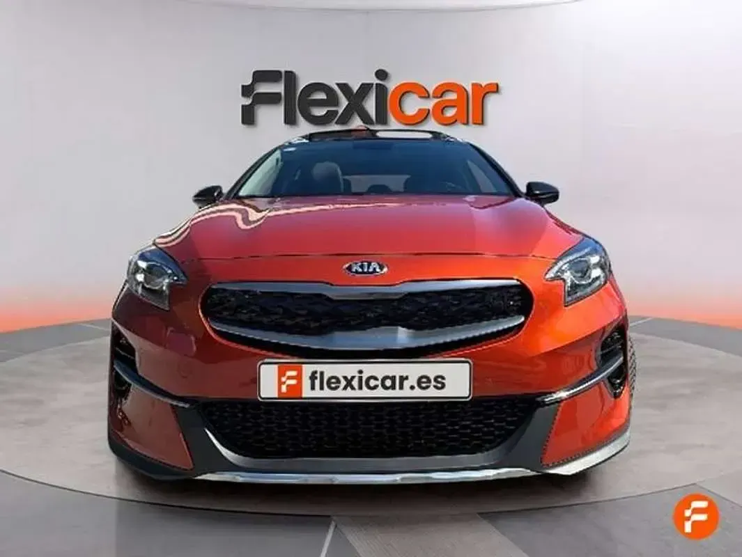 Usado Kia XCeed 141 CV (103 kW) 2020 Naranja SUV
