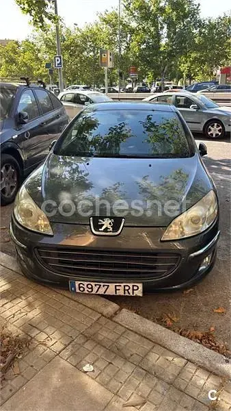 Usado Peugeot 407 Premium 136 CV (100 kW) 2007 Gris / plata Berlina