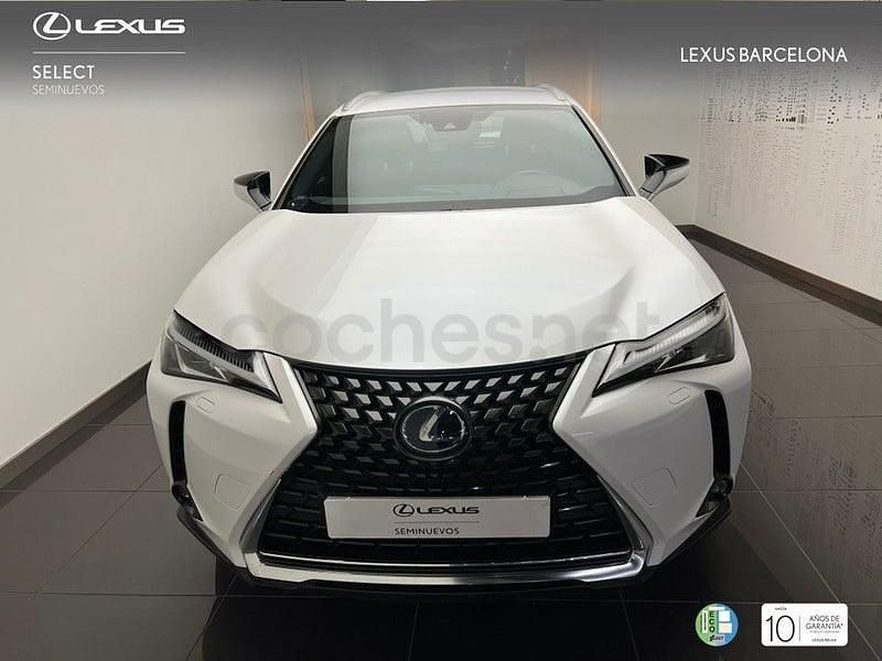 Usado Lexus UX Business Edition 184 CV (135 kW) 2020 Blanco SUV