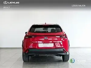 Usado Lexus UX 250h 184 CV (135 kW) 2023 Rojo SUV