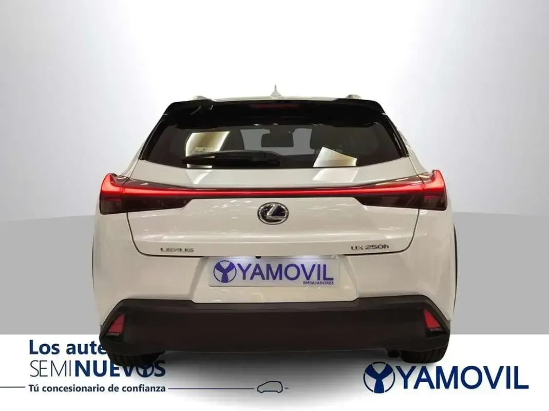 Usado Lexus UX 250h Business Edition 2022 Blanco SUV