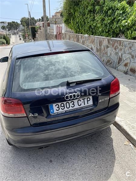 Usado Audi A3 Ambition 140 HP (102 kW) 2004 Azul Citadino