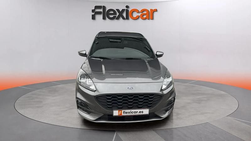 Usado Ford Kuga ST-Line 120 CV (88 kW) 2024 Gris SUV