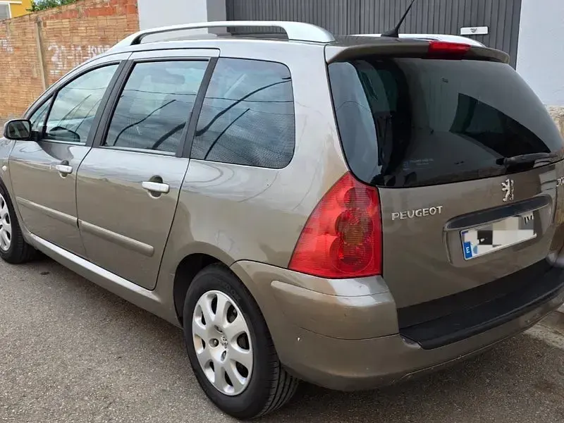Usado Peugeot 307 110 CV (80 kW) 2004 Marrón Familiar