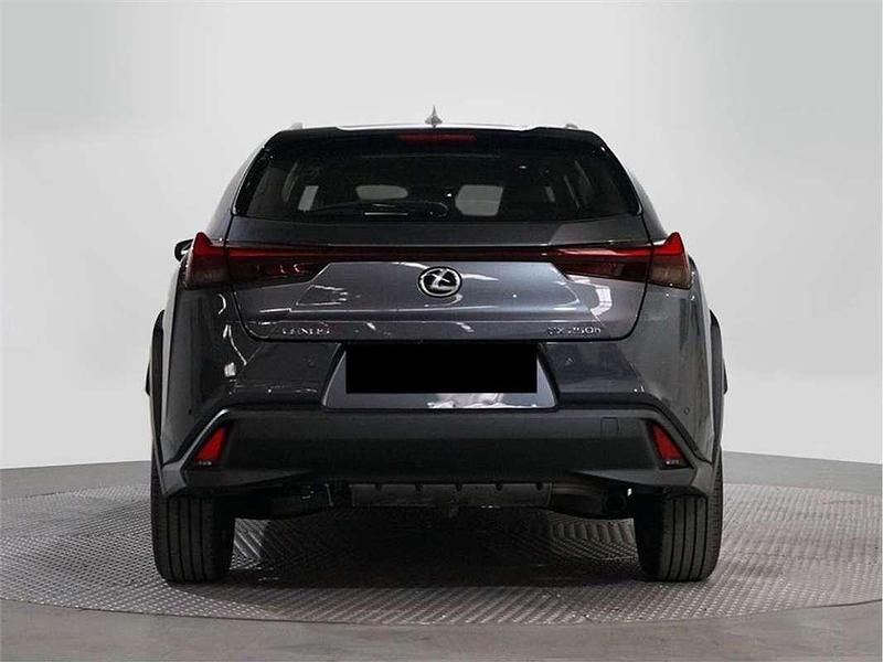 Usado Lexus UX 250h 184 CV (135 kW) 2023 SUV