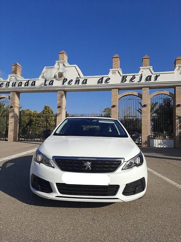 Usado Peugeot 308 SW Access 100 CV (73 kW) 2019 Blanco Familiar