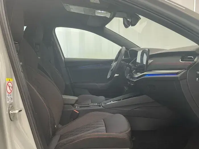 Brugt Skoda Octavia RS 265 HK (194 kW) 2025 Grå