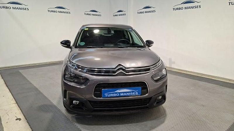 Usado Citroën C4 Cactus Shine 102 CV (75 kW) 2023 Blanco Utilitario