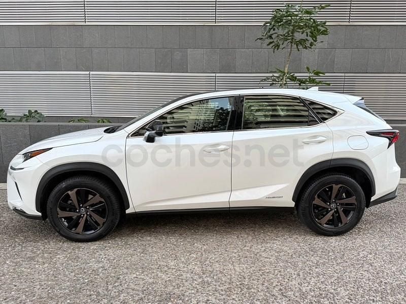 Usado Lexus NX300h Sport Line 197 CV (144 kW) 2019 Blanco SUV