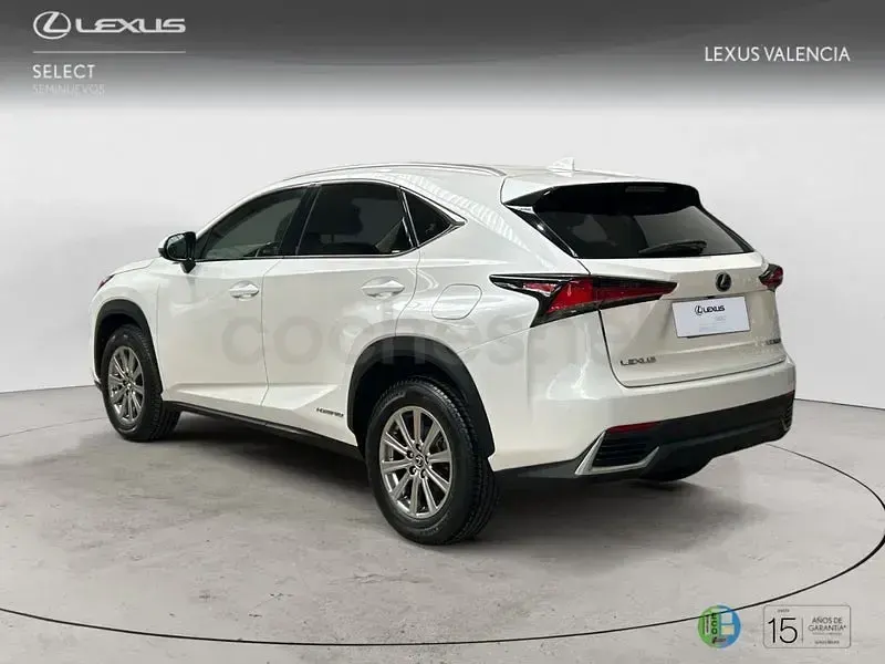 Usado Lexus NX300h Business Edition 197 CV (144 kW) 2019 Blanco SUV