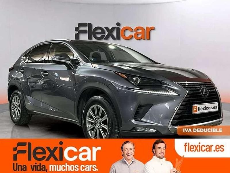 Usado Lexus NX300h Business Edition 197 CV (144 kW) 2019 Gris SUV