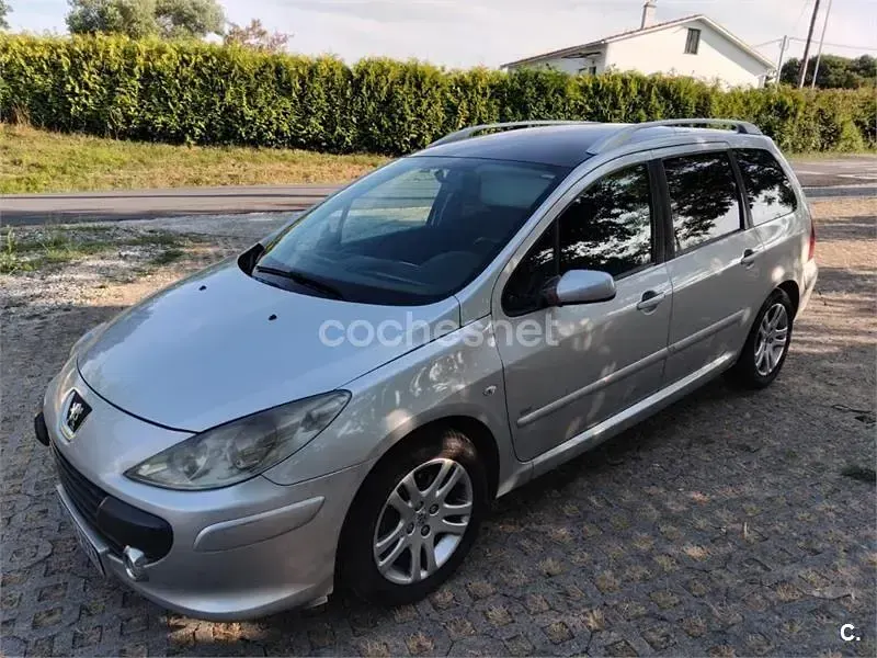 Usado Peugeot 307 110 CV (80 kW) 2006 Gris / plata Familiar