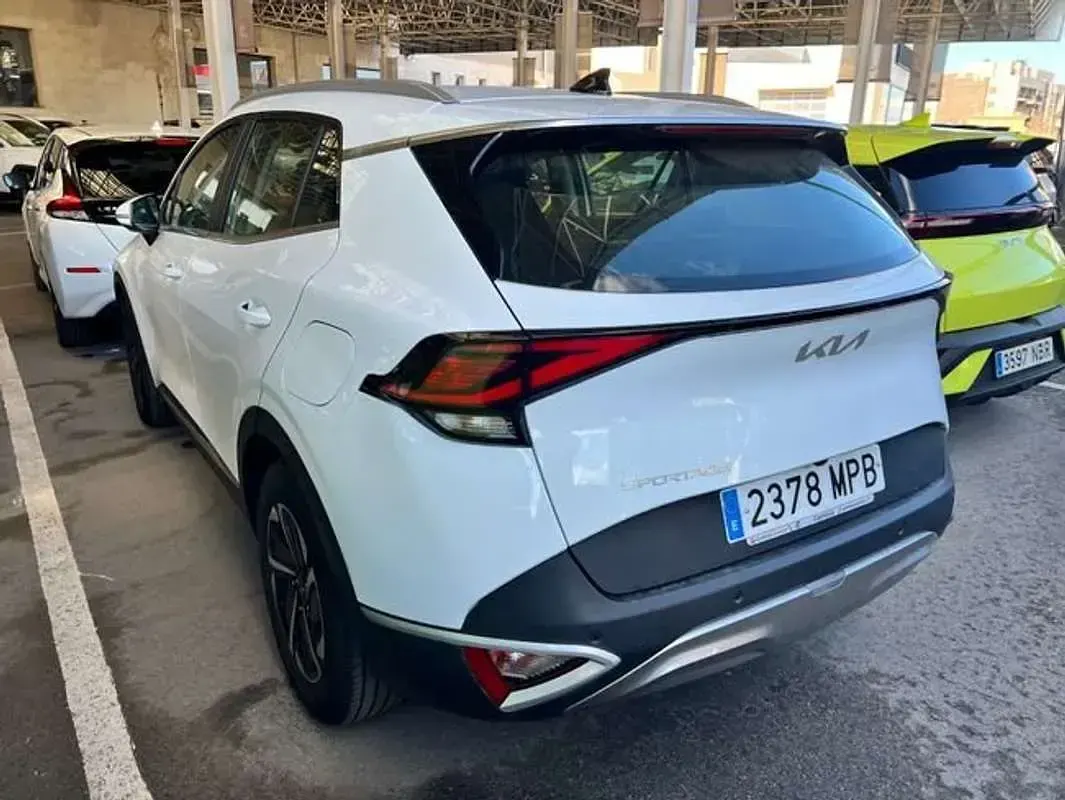 Occasion Kia Sportage 151 ch (111 kW) 2024 Blanc SUV