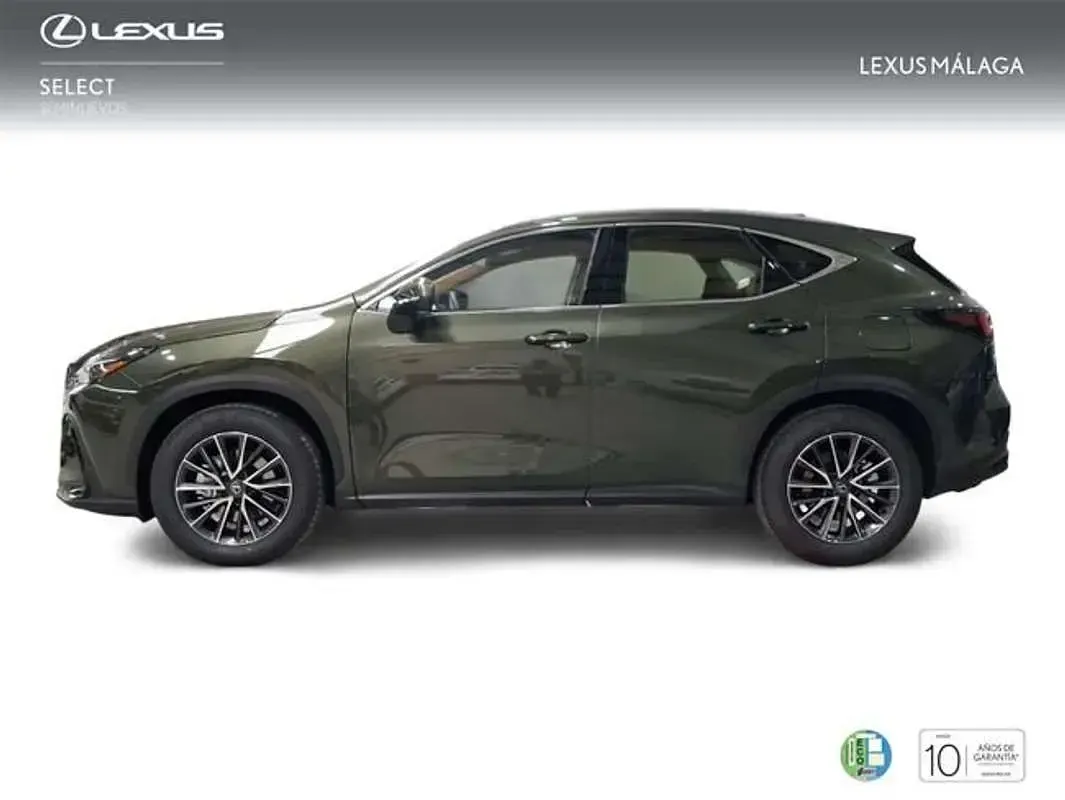 Nuevo Lexus NX350h 242 CV (177 kW) 2026 Verde SUV