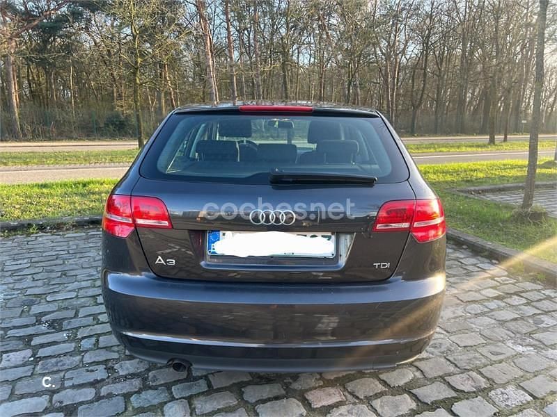 Usado Audi A3 Attraction 105 HP (77 kW) 2011 Castanho Citadino